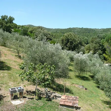 Apartment Podere Stramazzi *